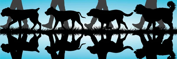 Amstaff, presa canario, labrador und kaukasischer schäferhund silhouette — Stockvektor