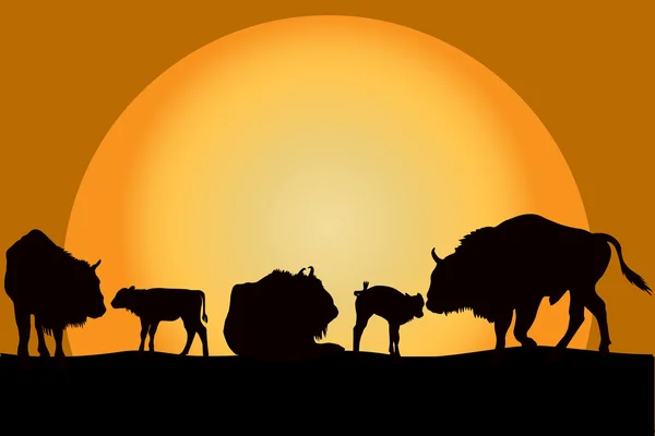 Família dos bisões no por do sol — Vetor de Stock