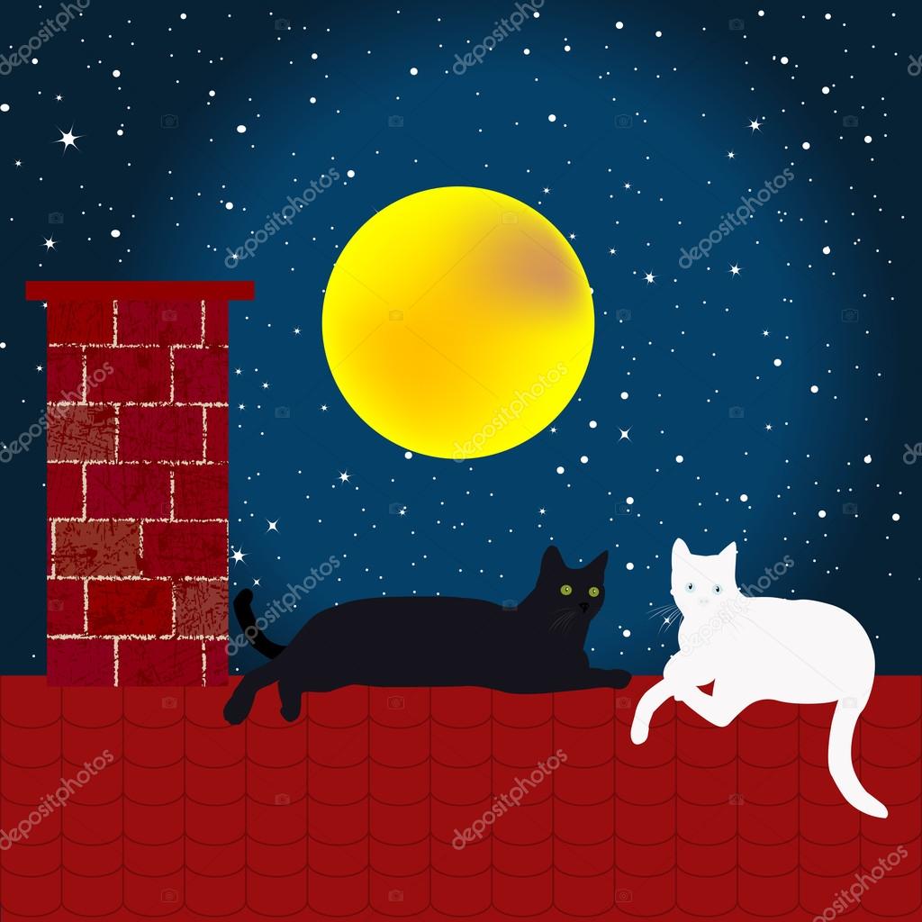 Black And White Cats On The Roof Stock Vector Hibrida13