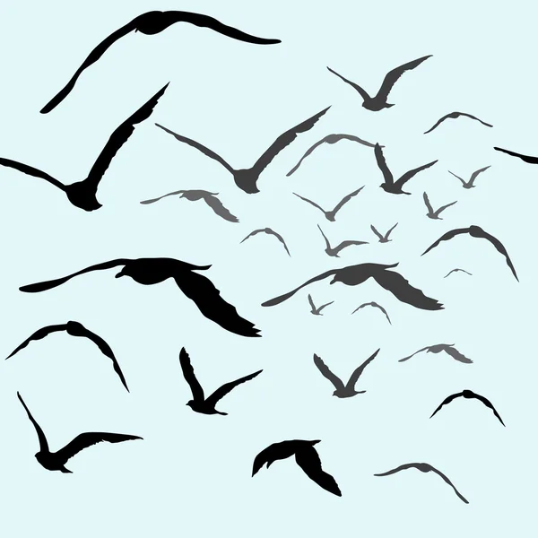 Vögel fliegen in den Himmel — Stockvektor
