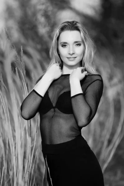 Beautiful Sexy Blonde Girl Black Blouse Posing Reeds — Stock Photo, Image