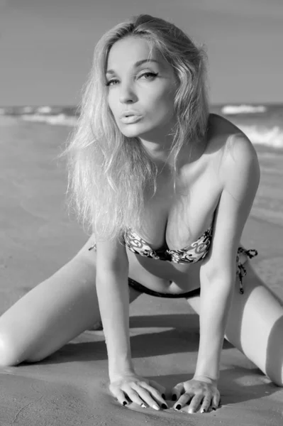 Beautiful Sexy Blond Girl Swimsuit Posing Sandy Sea Beach Water — Stock Photo, Image