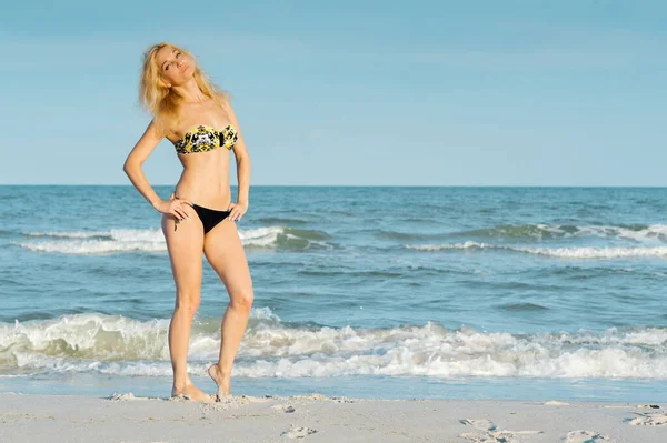 Hermosa Chica Rubia Sexy Traje Baño Posando Una Playa Arena — Foto de Stock