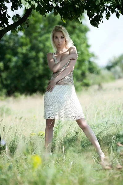 Beautiful Sexy Blonde Girl Posing Sunny Summer Day Tree — Stok fotoğraf