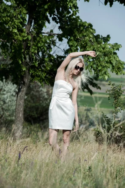 Beautiful Sexy Blonde Girl Posing Sunny Summer Day Tree — Zdjęcie stockowe