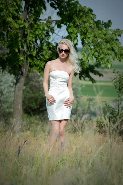 Beautiful Sexy Blonde Girl Posing Sunny Summer Day Tree — Stockfoto