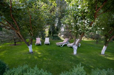 Şezlonglar yaz bahçesinde