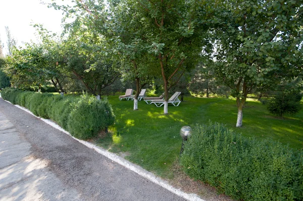 Deck chairs in summer garden — Stock Photo, Image