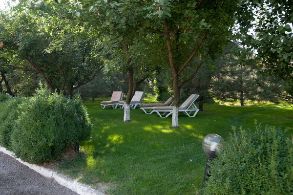 Leżaki w ogrodzie — Zdjęcie stockowe