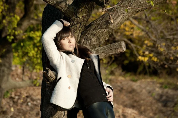 Girl posing in autumn park — Stock Photo, Image