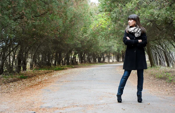 Ragazza posa nel parco autunnale — Foto Stock