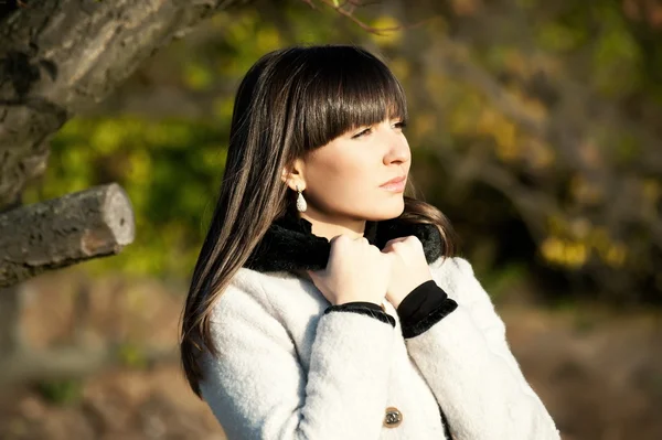 Ragazza posa nel parco autunnale — Foto Stock