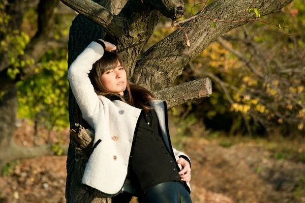 Mädchen posiert im Herbstpark — Stockfoto