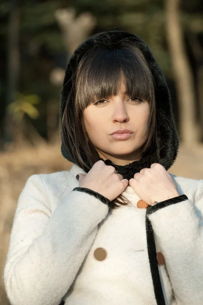 Brunette girl posing in park Stock Image