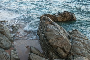 Deniz hayvan gibi taşlar