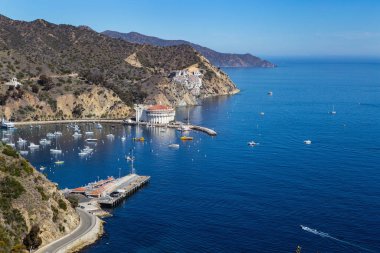 Catalina Adası 'ndaki Avalon Limanı