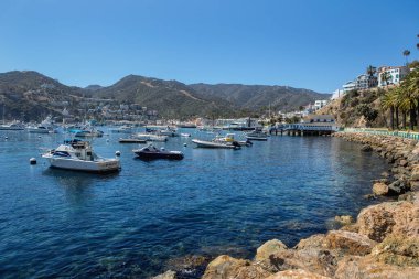 Catalina Adası 'ndaki Avalon Limanı