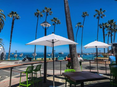 Catalina Adası 'ndaki Avalon Limanı