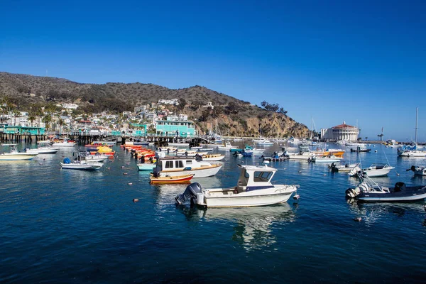 Porto Avalon Ilha Catalina — Fotografia de Stock