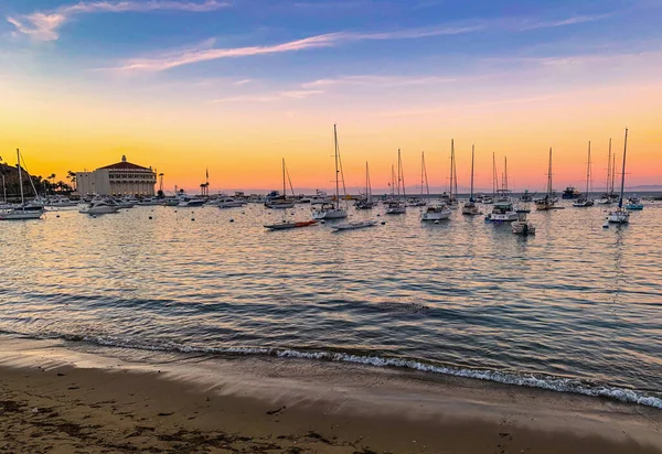 Avalon Hamn Catalina Island Royaltyfria Stockbilder