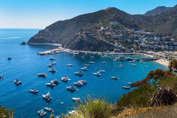 Pelabuhan Avalon Catalina Island Stok Gambar