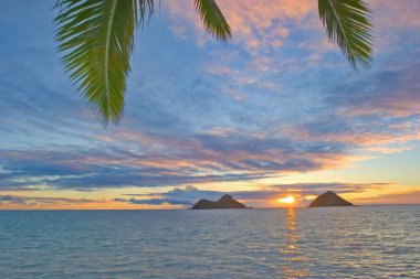 hawaii sunrise with mokulua islands and palms