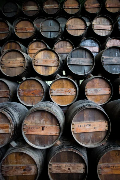 Barricas de vino apiladas en la bodega — Foto de Stock