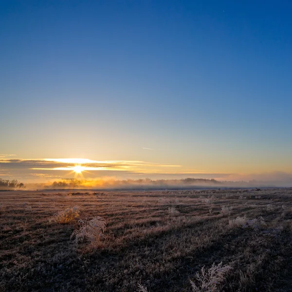 Árbol y sol — Foto de stock © TTstudio #25260457
