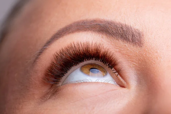 Ojos Abiertos Mujer Con Pestañas Largas Extensión Después Tratamiento Belleza —  Fotos de Stock