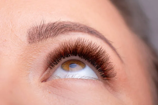 Aperto Donna Occhi Con Lunghe Ciglia Estensione Dopo Trattamento Bellezza — Foto Stock