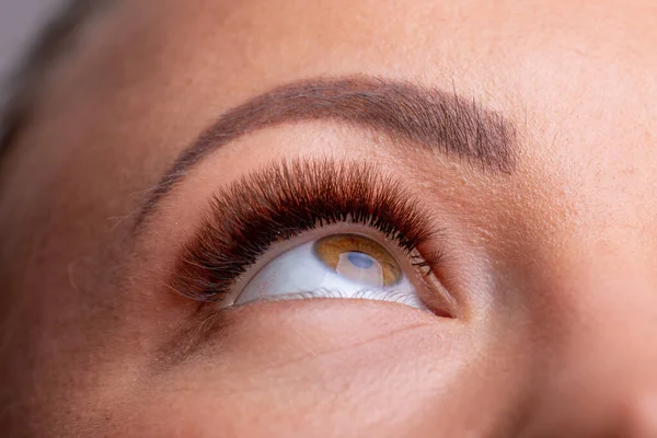 Открытые Женские Глаза Длинными Глазами После Косметических Процедур — стоковое фото