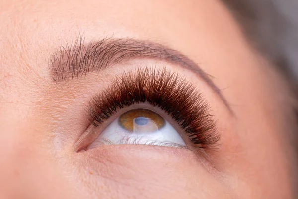 Ojos Abiertos Mujer Con Pestañas Largas Extensión Después Tratamiento Belleza —  Fotos de Stock