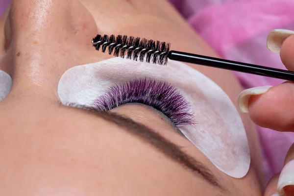 Treatment of Eyelash Extension with colorful purple lashes and taking care and arange wiht brush. Woman Eyes with Long Eyelashes.