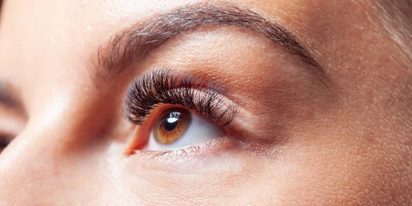 Eyelash Extension 치료중인 아름다운 접시들 눈썹을 — 스톡 사진
