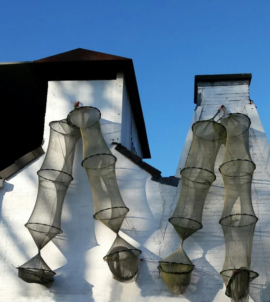 yılan balığı tuzakları