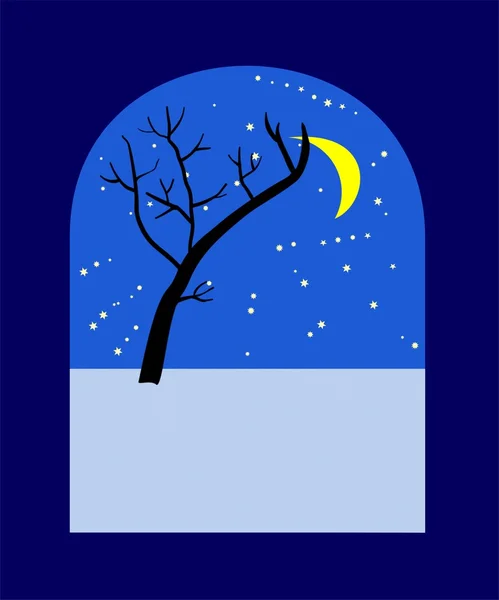 Зимняя ночь — стоковое фото