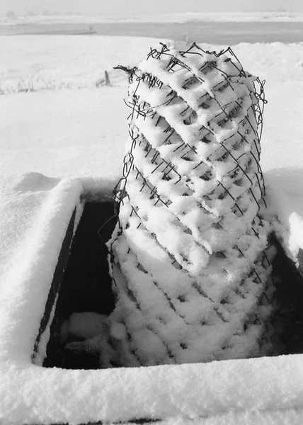 Karda, tavuk tel tel örgü.