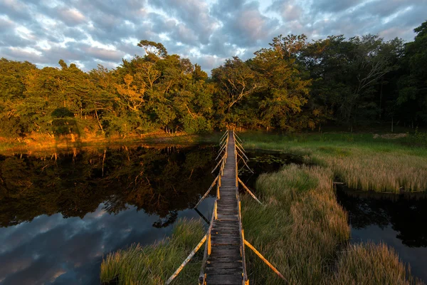 Pequeño puente sobre el lago —  Fotos de Stock