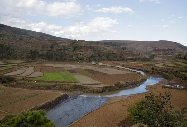 Agricultural landscape of Madagascar — Stock Photo, Image