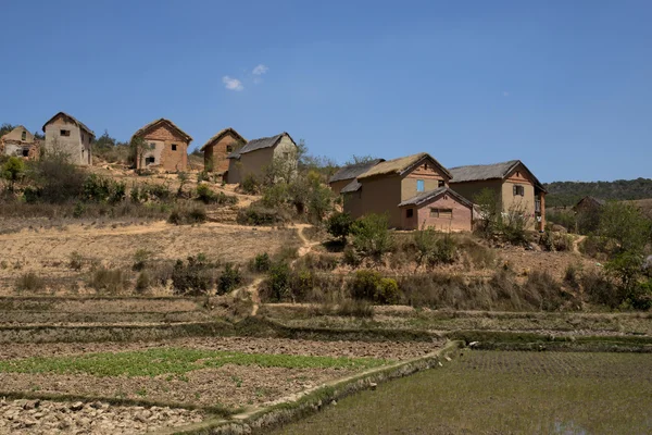 Malagasy village — Stock Photo, Image