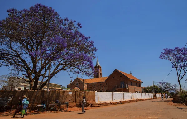 Jacaranda bloesems op de straat van Ambalavao, Madagaskar — Stockfoto