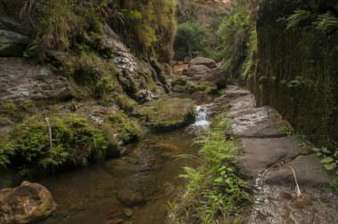 Isalo Milli Parkı Madagaskar kanyonda gölde SMAL