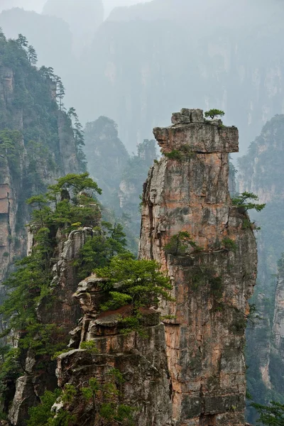 Acantilados boscosos de las montañas flotantes en el parque nacional Zhangjiajie, China — Foto de Stock