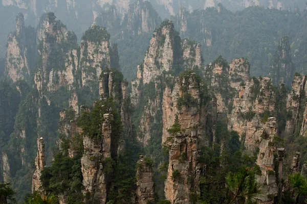Floationg hegyek, fenyők és sziklák. Zhangjiajie nemzeti park, Kína — Stock Fotó