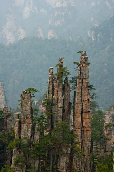 Acantilados de montañas flotantes, parque nacional Zhangjiajie, China — Foto de Stock