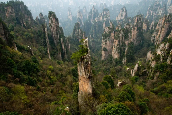 Panoramik Zhangjiajie Milli Parkı, Çin dağlarında yüzen