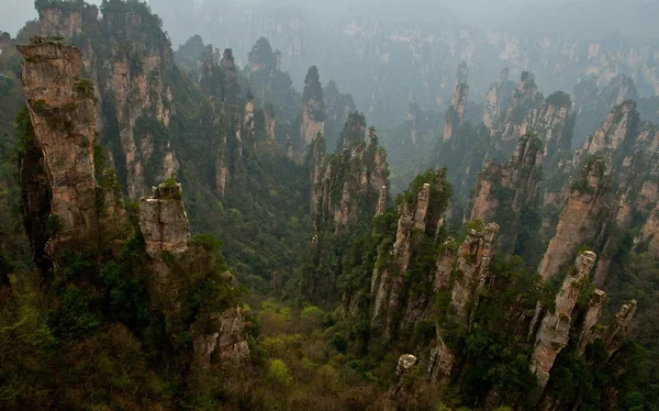 Vista panorámica de las montañas flotantes en el parque nacional Zhangjiajie, China Imagen De Stock