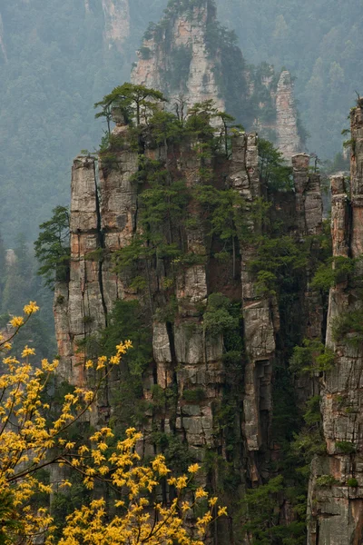 Falésias florestadas no parque nacional de Zhangjiajie, China Fotos De Bancos De Imagens
