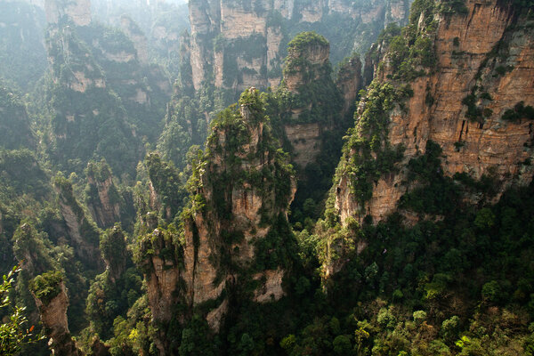 Forested rocks in Zhangjiajie national park, China