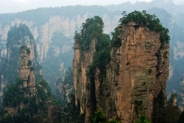 Rocas boscosas en el parque nacional Zhangjiajie, China — Foto de Stock